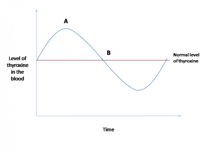 explain-homeostasis-worksheet-edplace